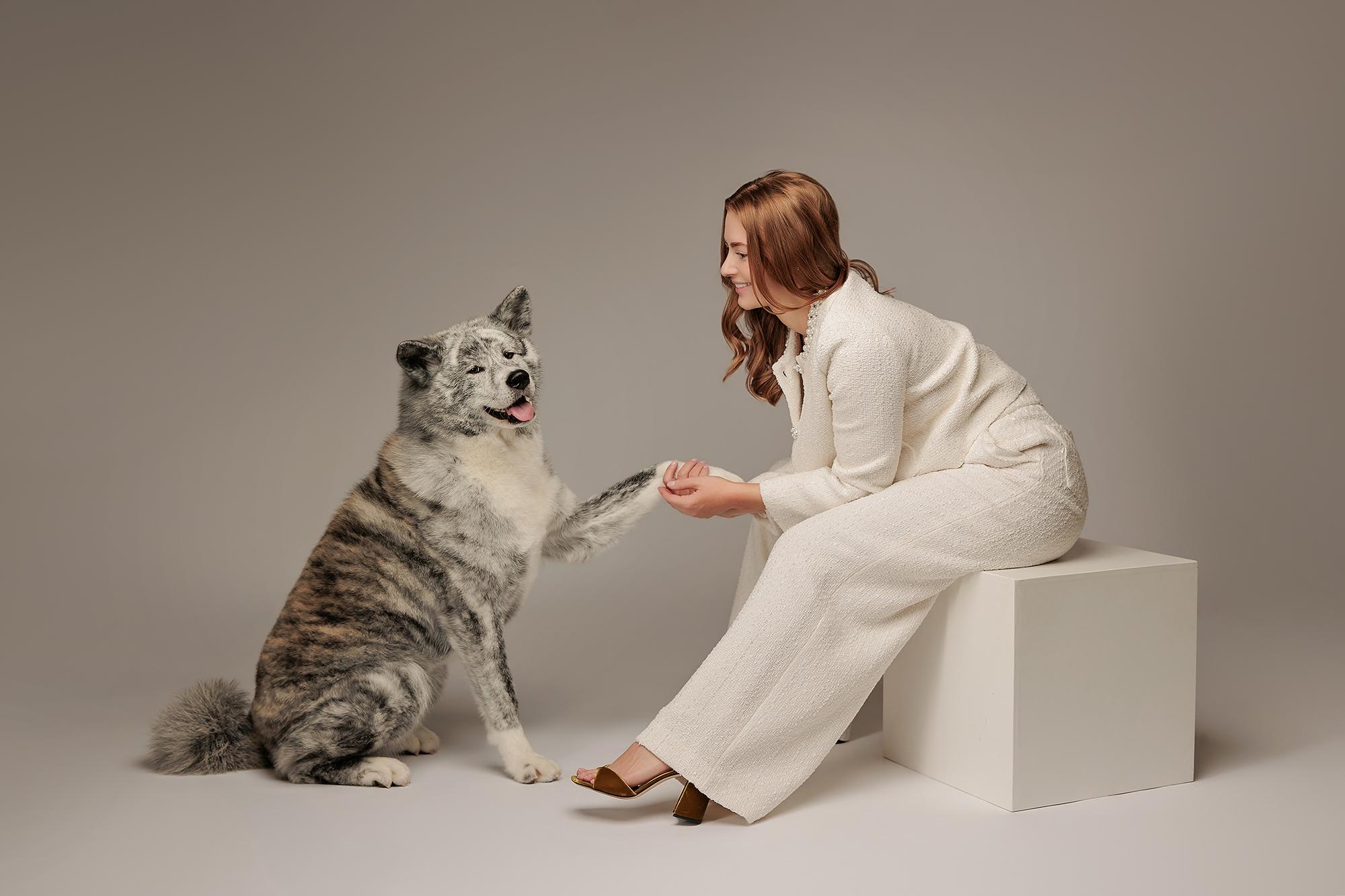 Personal branding photography Calgary studio: Joyful woman with long auburn wavy hair in a white tweed suit seated on a white cube shaking paws with a large grey-and-white Akita dog, warm taupe background