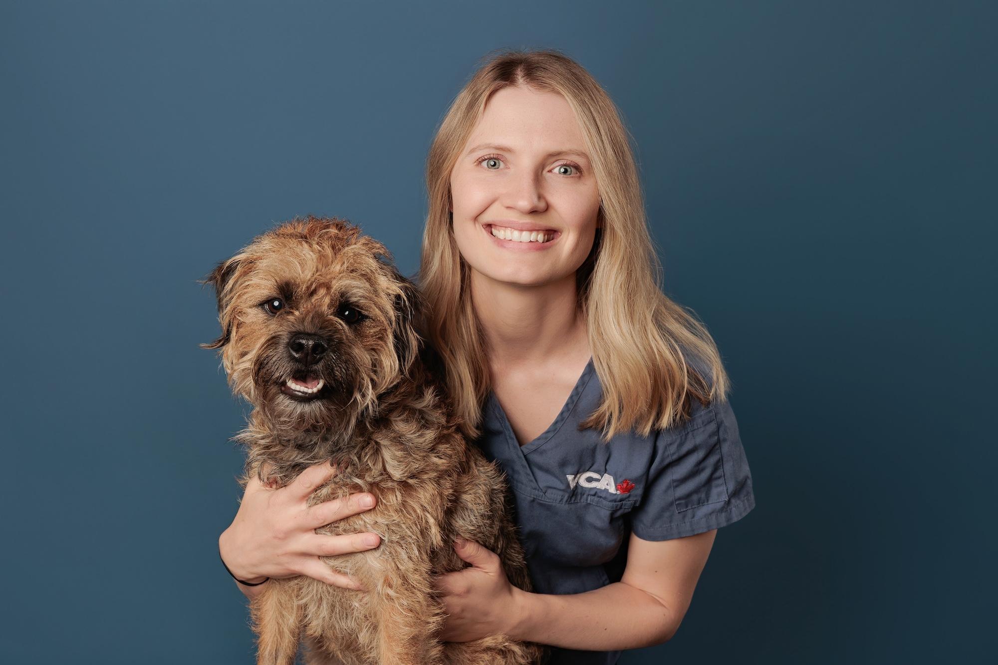 Veterinary team headshots Calgary studio: Smiling young female veterinary professional with straight blonde hair in branded VCA blue scrubs holding a scruffy tan Border Terrier mix against a deep teal background